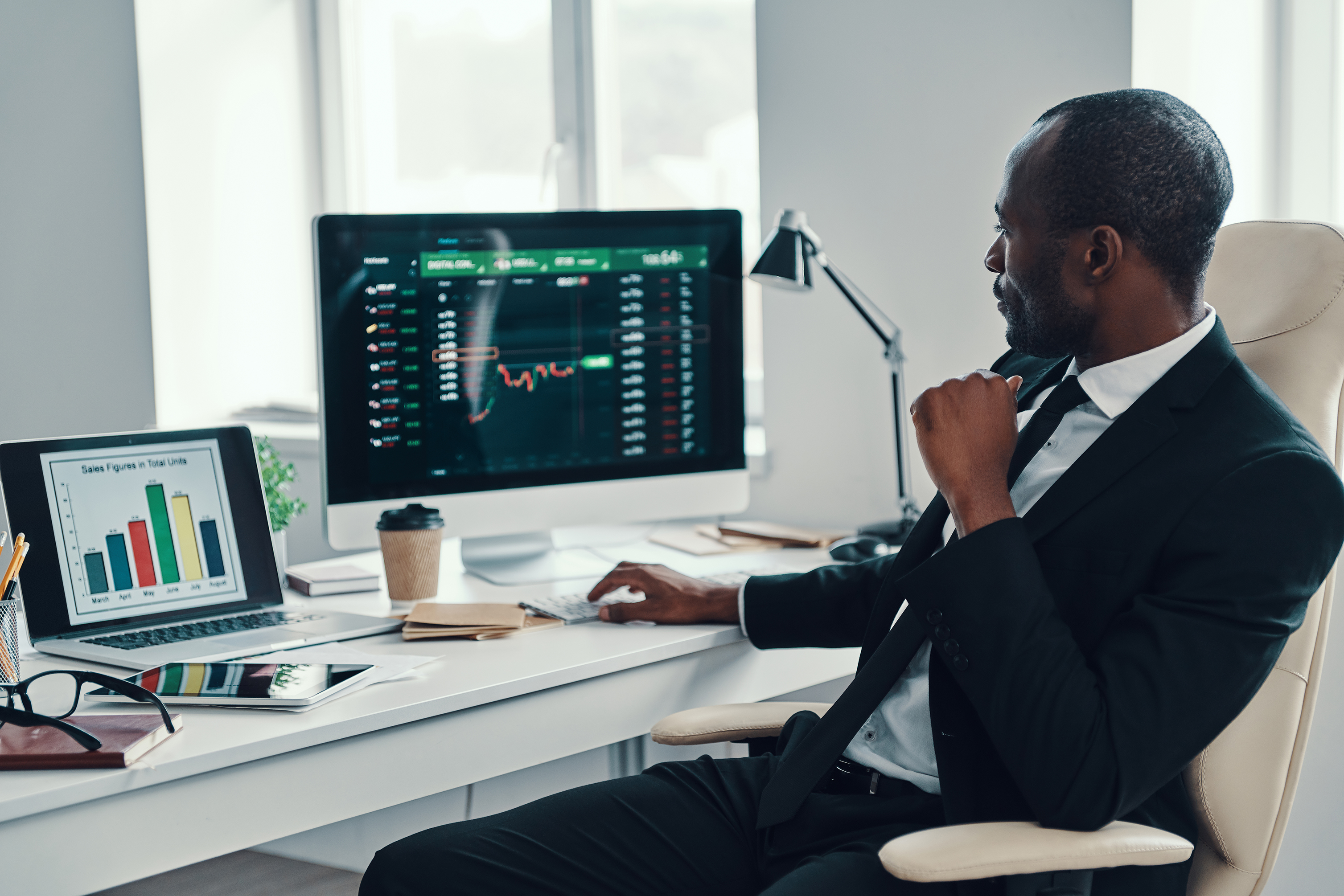 Professional reviewing business analytics